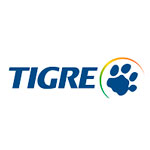 Tigre