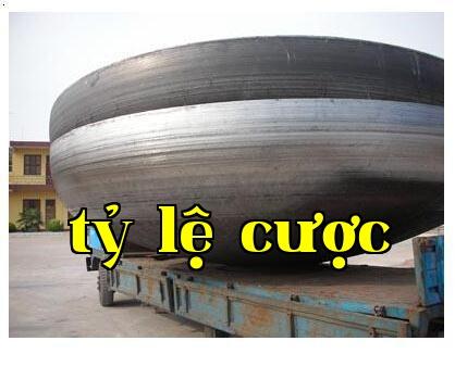 Nắp hình elip