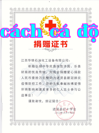 Chứng chỉ đóng góp